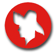 Pava Logo